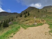 Spettacolo di fiori e marmotte sui sentieri per i Laghetti di Ponteranica – 18magg22  - FOTOGALLERY